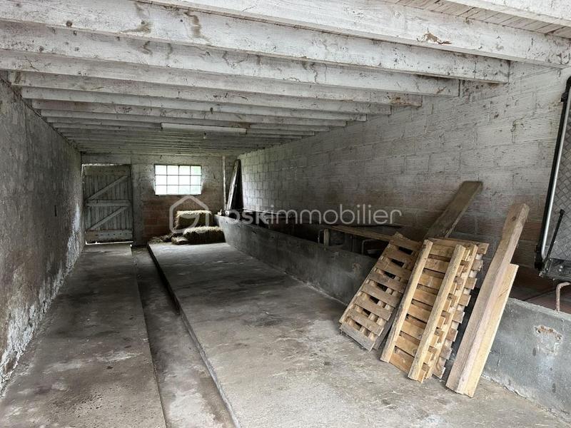 Propriété - 330 m² - 6 pièces