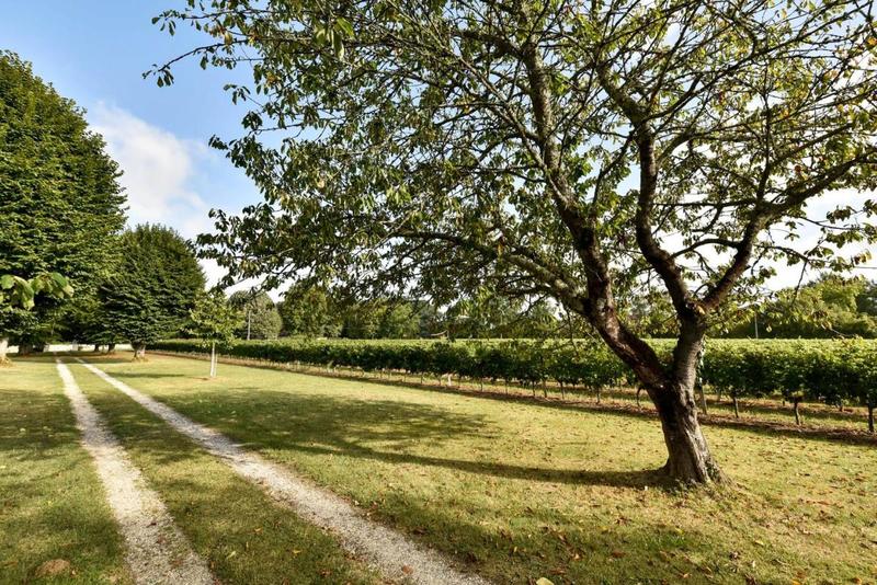 Demeure - 450 m² - 12 pièces