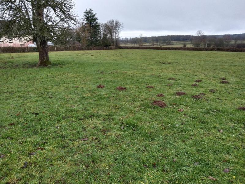 Maison - 882 m² - 8 pièces