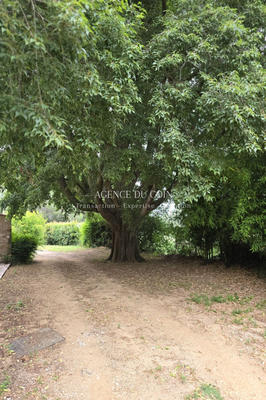 Maison de domaine - 360 m² - 9 pièces