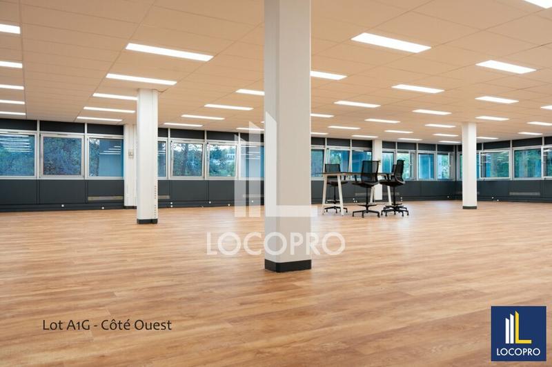 Local d'activité / Entrepôt - 1 330 m²