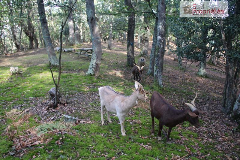 Maison - 104 m² - 4 pièces