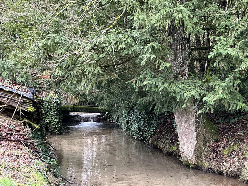 Maison - 221 m² - 8 pièces