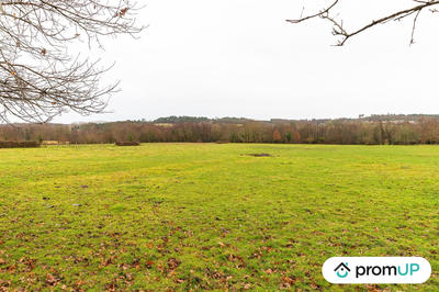 Terrain agricole - 50 040 m²