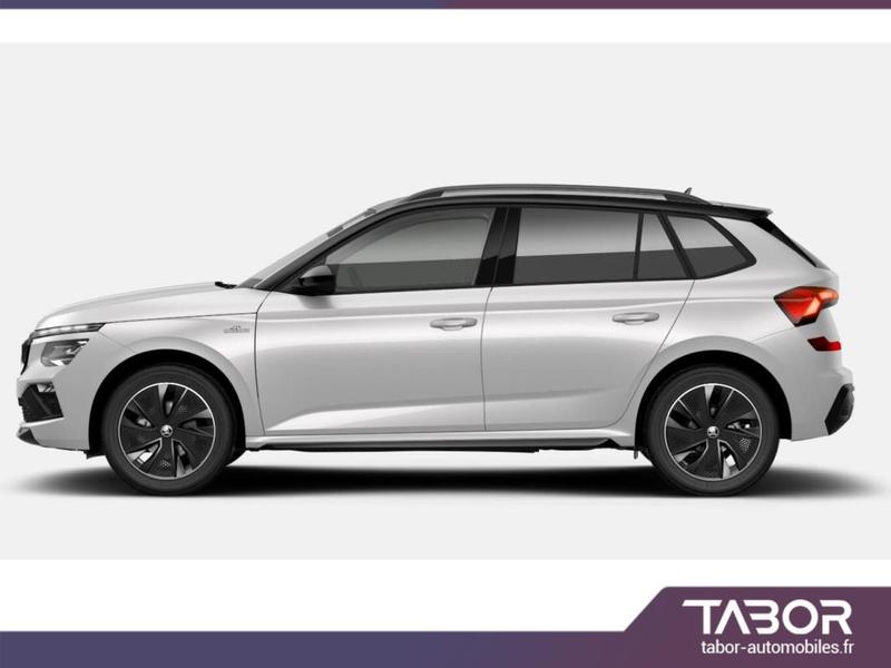 Skoda Kamiq Dsg MonteC Pano Matrix Cam Kessy