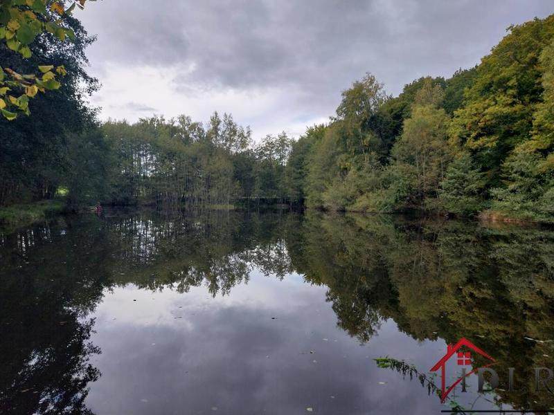 Étang - 46 300 m²