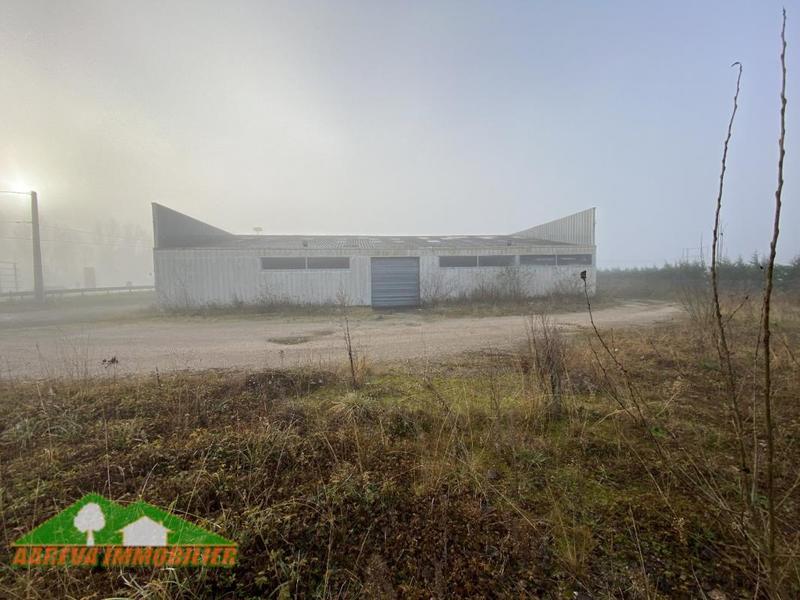 Local commercial - 480 m²