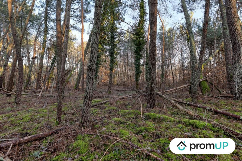 Terrain de loisirs - 1 595 m²