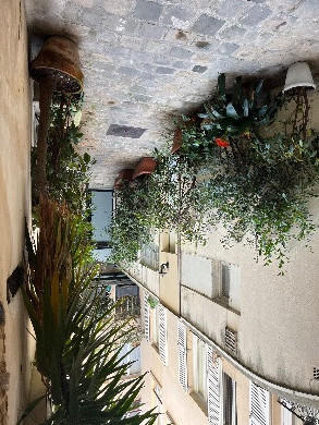 Appartement - 30 m² - 2 pièces