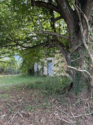 Maison ancienne - 80 m² - 4 pièces
