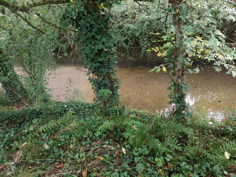 Maison - 380 m² - 12 pièces