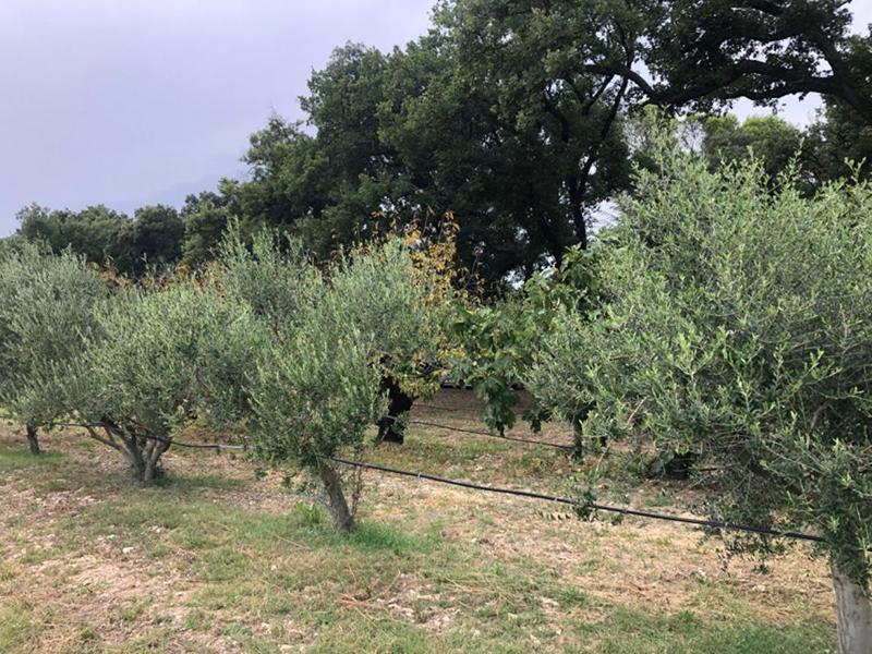 Terrain constructible - 900 m²