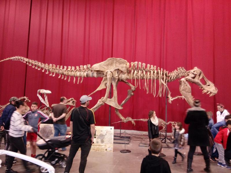 Salon international des minéraux de Martigues