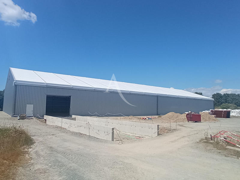 Local d'activité / Entrepôt - 150 m²