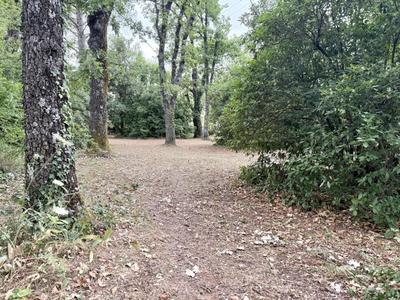 Terrain constructible - 1 095 m²