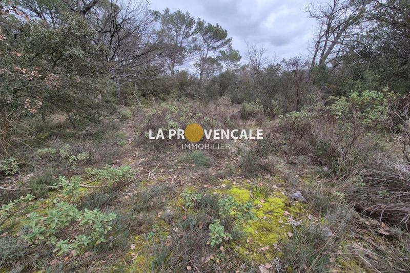 Terrain de loisirs - 2 315 m²