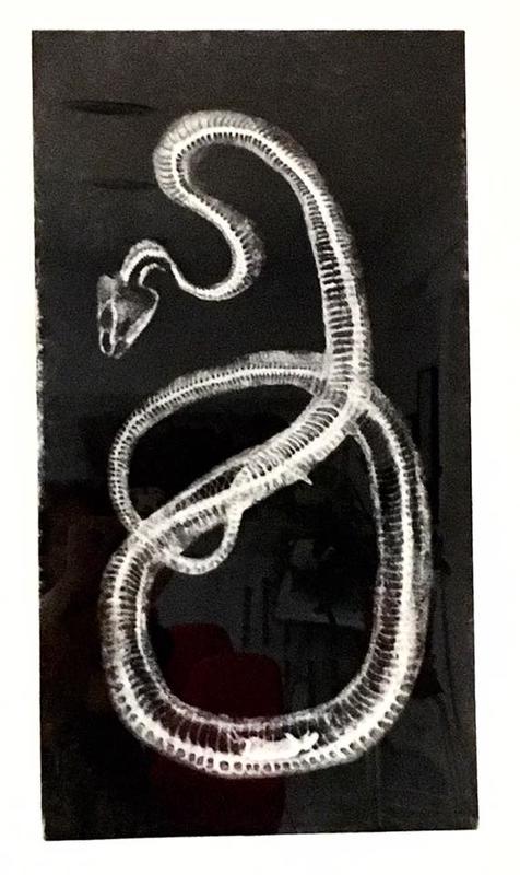 Cantine des Couleurs