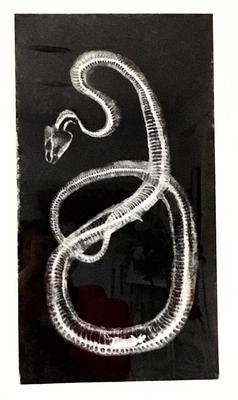 Cantine des Couleurs