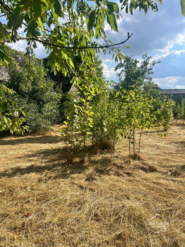 Maison de village - 80 m² - 3 pièces