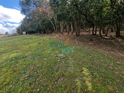 Propriété - 250 m² - 11 pièces