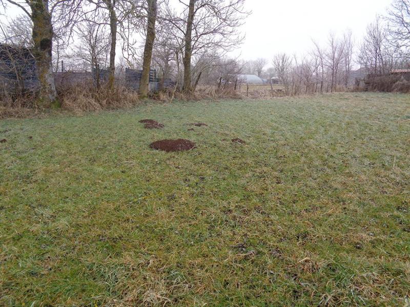 Terrain constructible - 3 296 m²