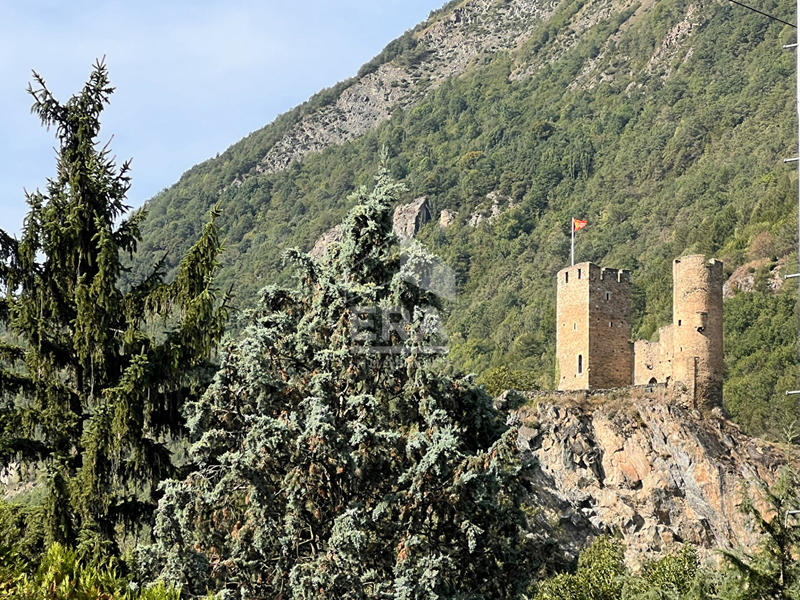 Maison - 313 m² - 12 pièces