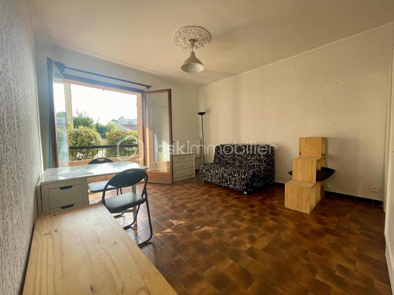 Studio - 24 m² - 1 pièce