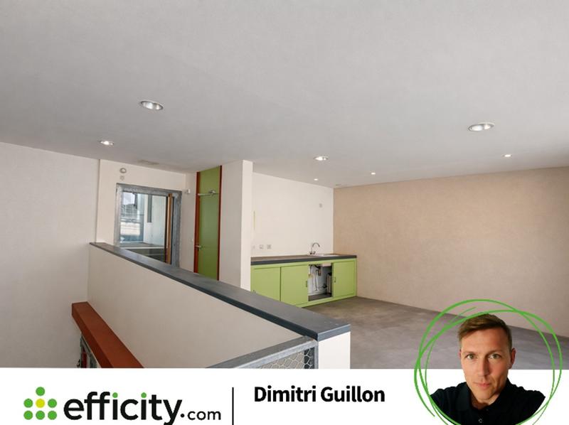 Loft - 67 m² - 3 pièces