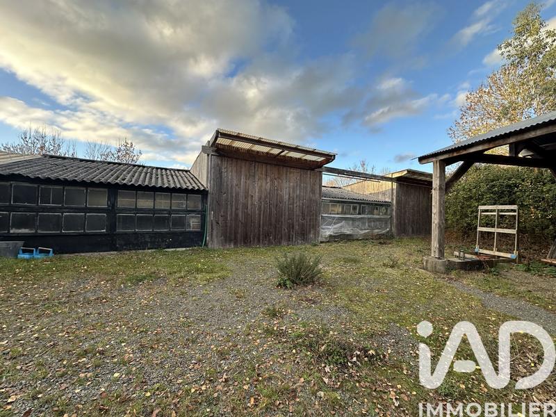 Appartement - 300 m² - 5 pièces