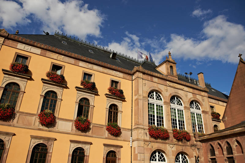 Obernai Version Aoc - ville et cave