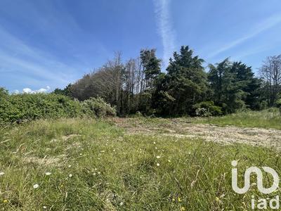 Terrain - 990 m²