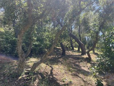 Terrain de loisirs - 8 590 m²