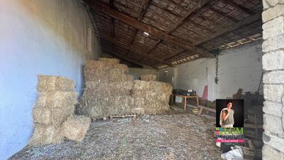 Corps de ferme - 192 m² - 1 pièce