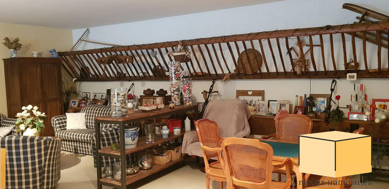 Maison traditionnelle - 377 m² - 7 pièces