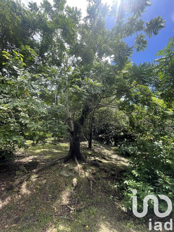 Maison - 68 m² - 3 pièces