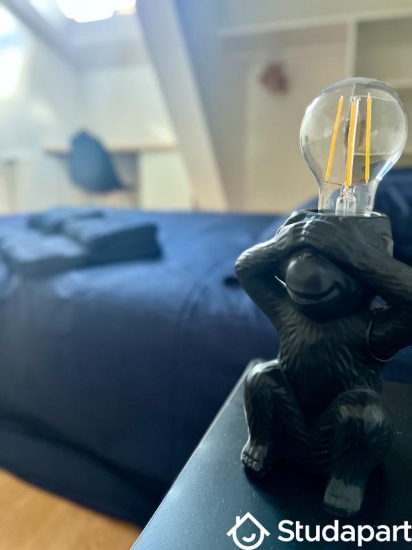 Chambre - 17 m² - 1 pièce