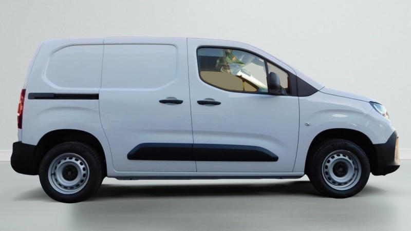 Fiat Doblo Taille m 650 Kg Bluehdi 100 s Bvm6