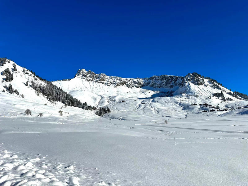 Châlet - 150 m² - 5 pièces