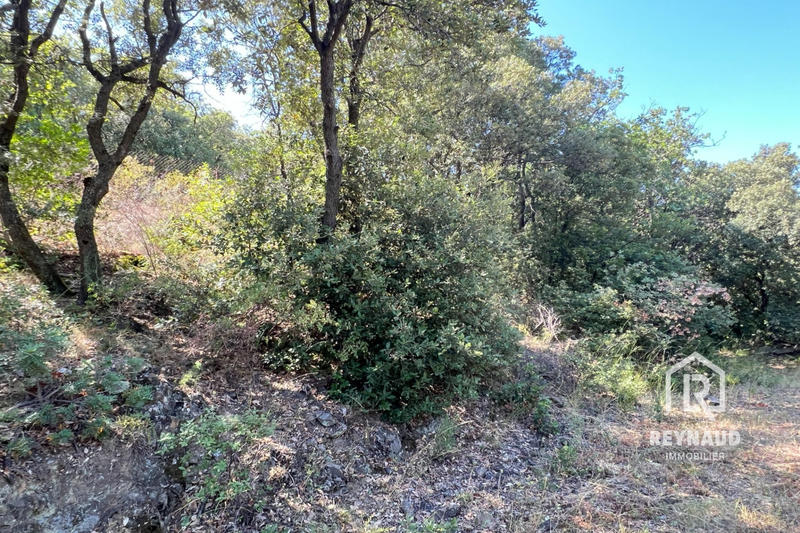 Maison - 200 m² - 10 pièces