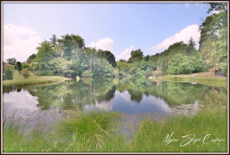 Propriété - 231 m² - 8 pièces