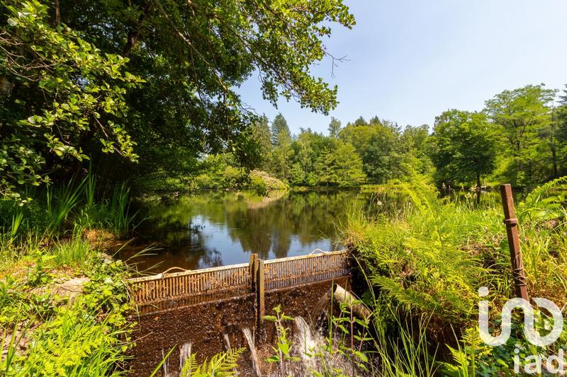 Terrain - 39 973 m²