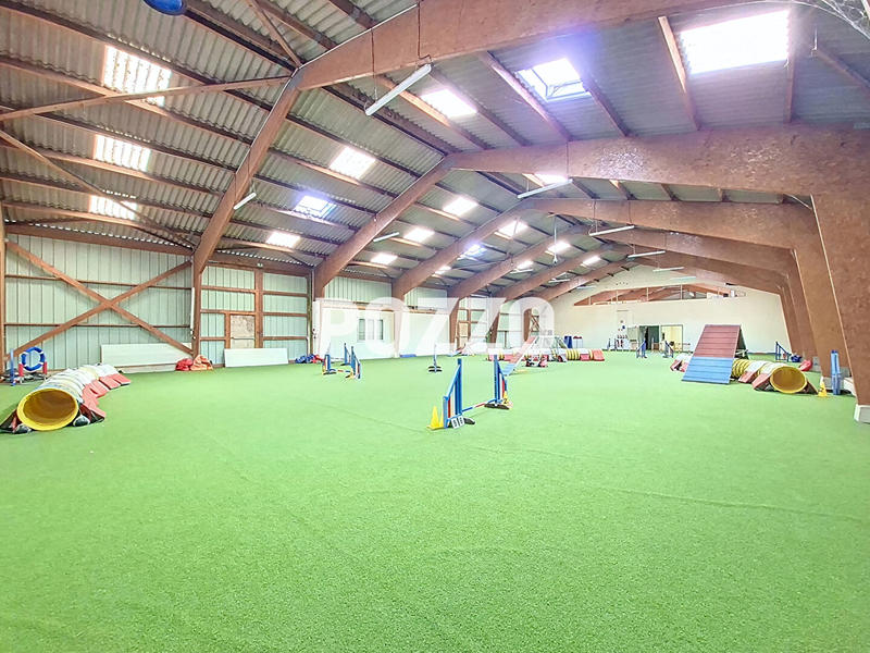 Local d'activité / Entrepôt - 1 200 m²