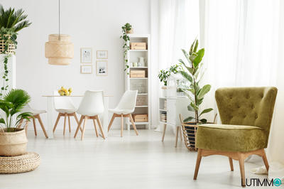 Appartement - 52 m² - 2 pièces