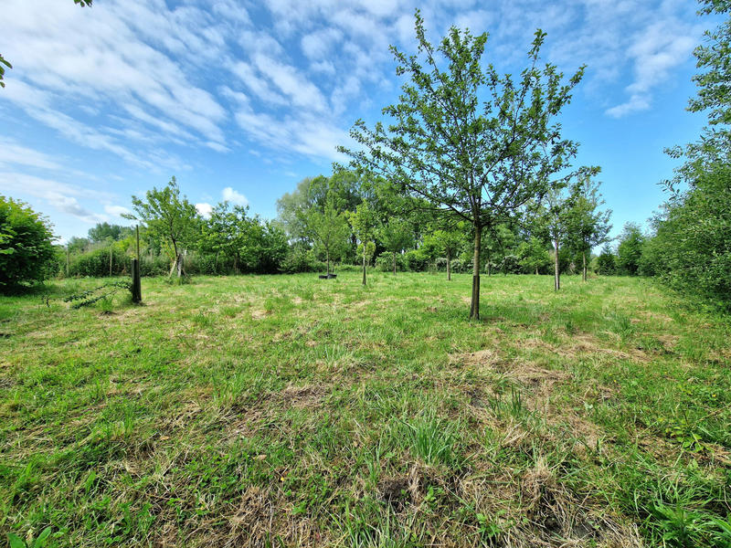 Terrain - 3 603 m²