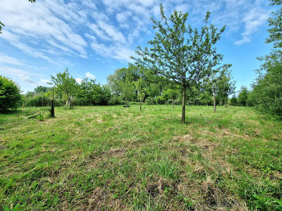 Terrain - 3 603 m²