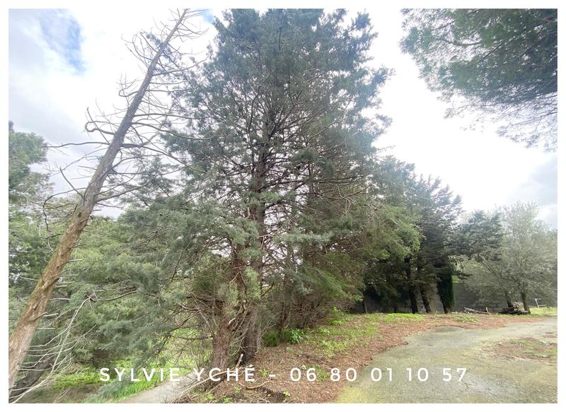 Villa - 115 m² - 4 pièces