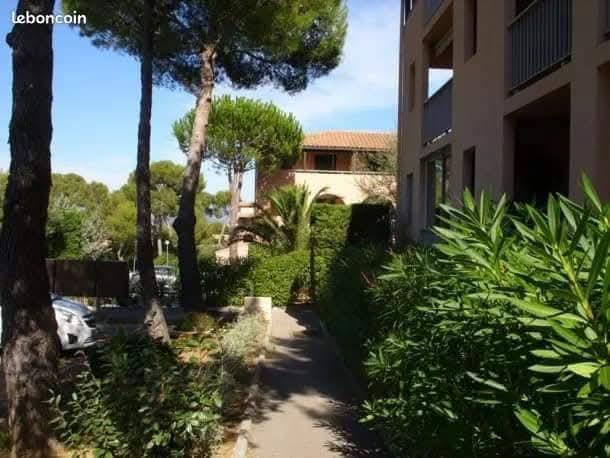 Studio - 23 m² - 1 pièce