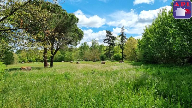 Maison - 216 m² - 7 pièces