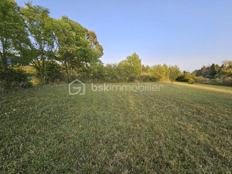 Terrain - 2 197 m²