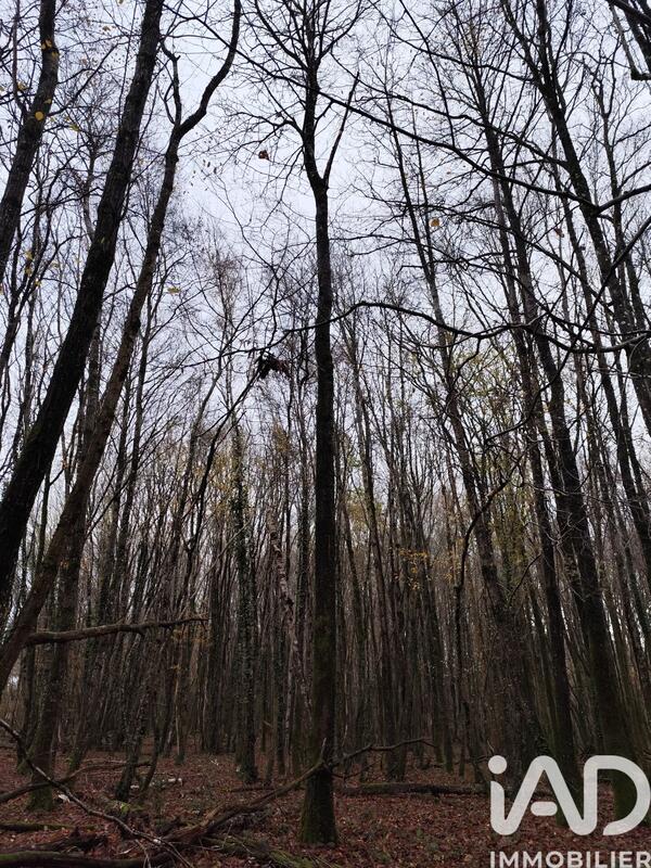 Terrain - 29 105 m²